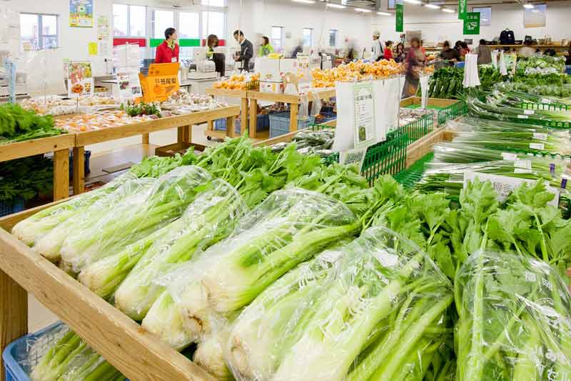 地元断トツ産物　セロリ