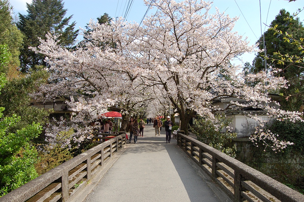 秋月城下町
