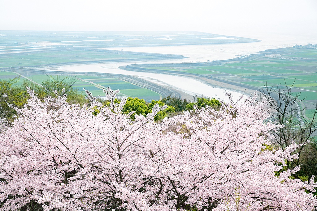 周辺で楽しむなら　桜の里展望所