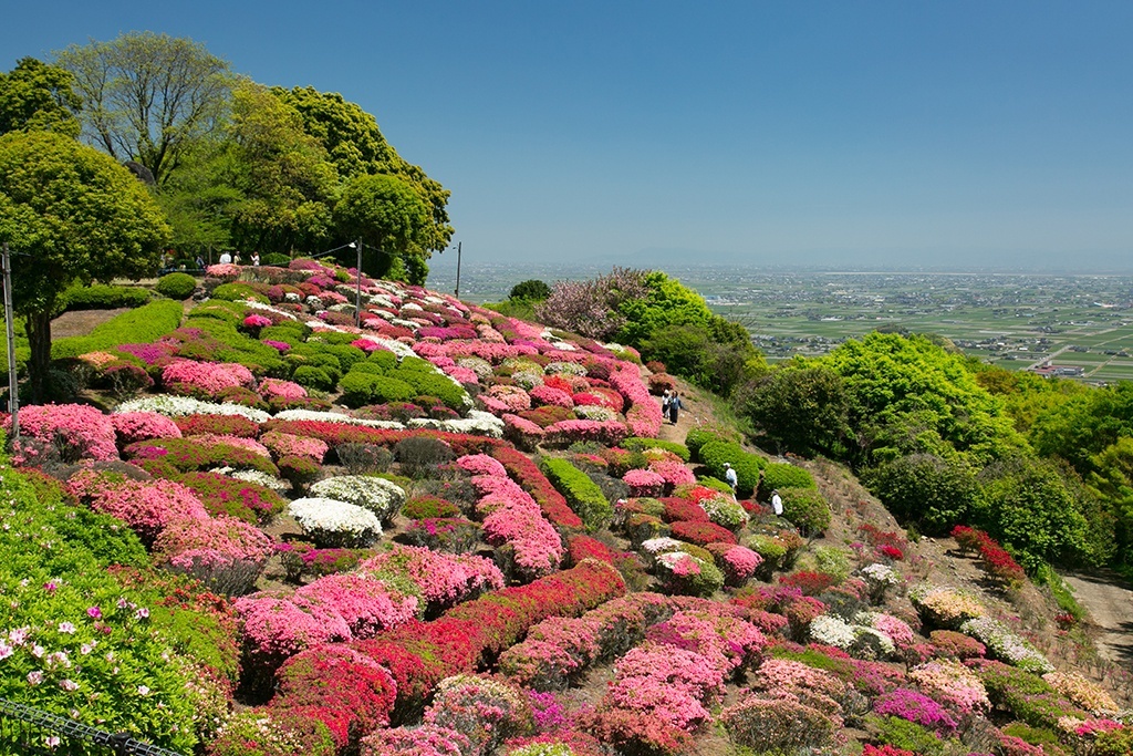 周辺で楽しむなら　歌垣公園