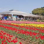 道の駅原尻の滝