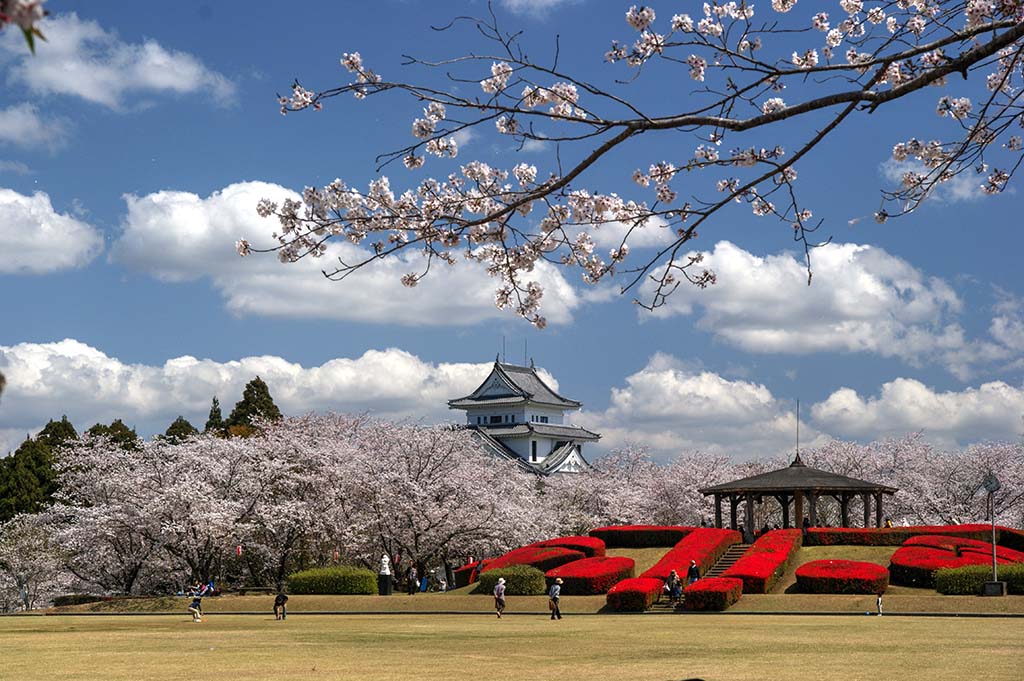 天ヶ城公園