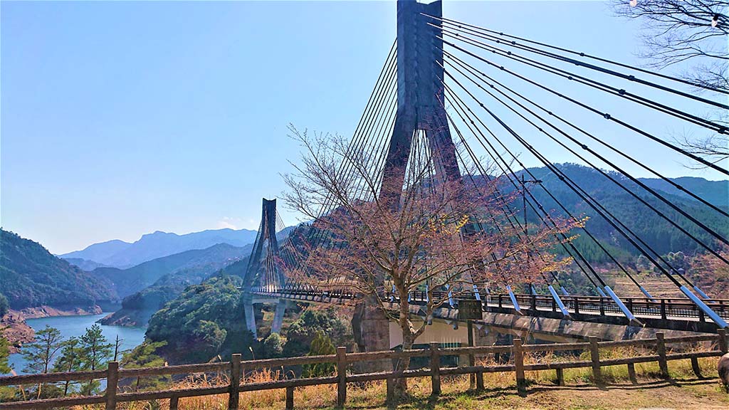 唄げんか大橋