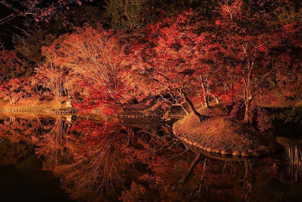 用柞（ゆうじゃく）公園