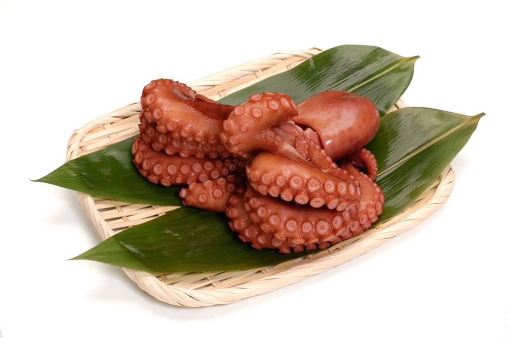 地元断トツ産物　くにさき姫だこ