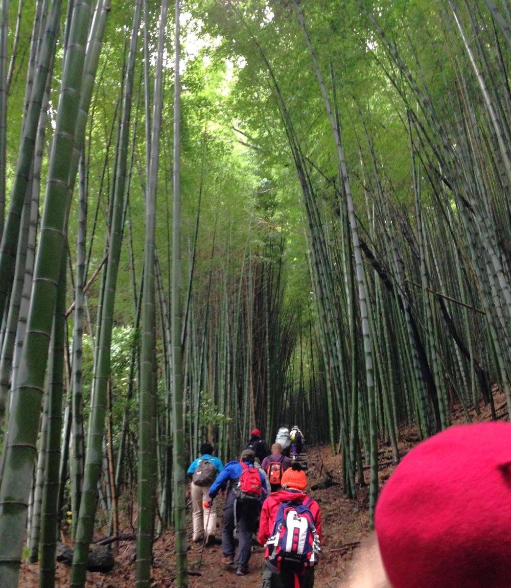 道の駅がゴールの「九州オルレみやま・清水山コース」