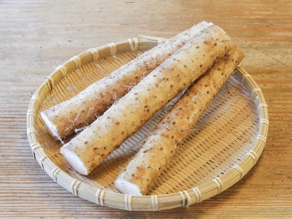地元断トツ産物　自然薯