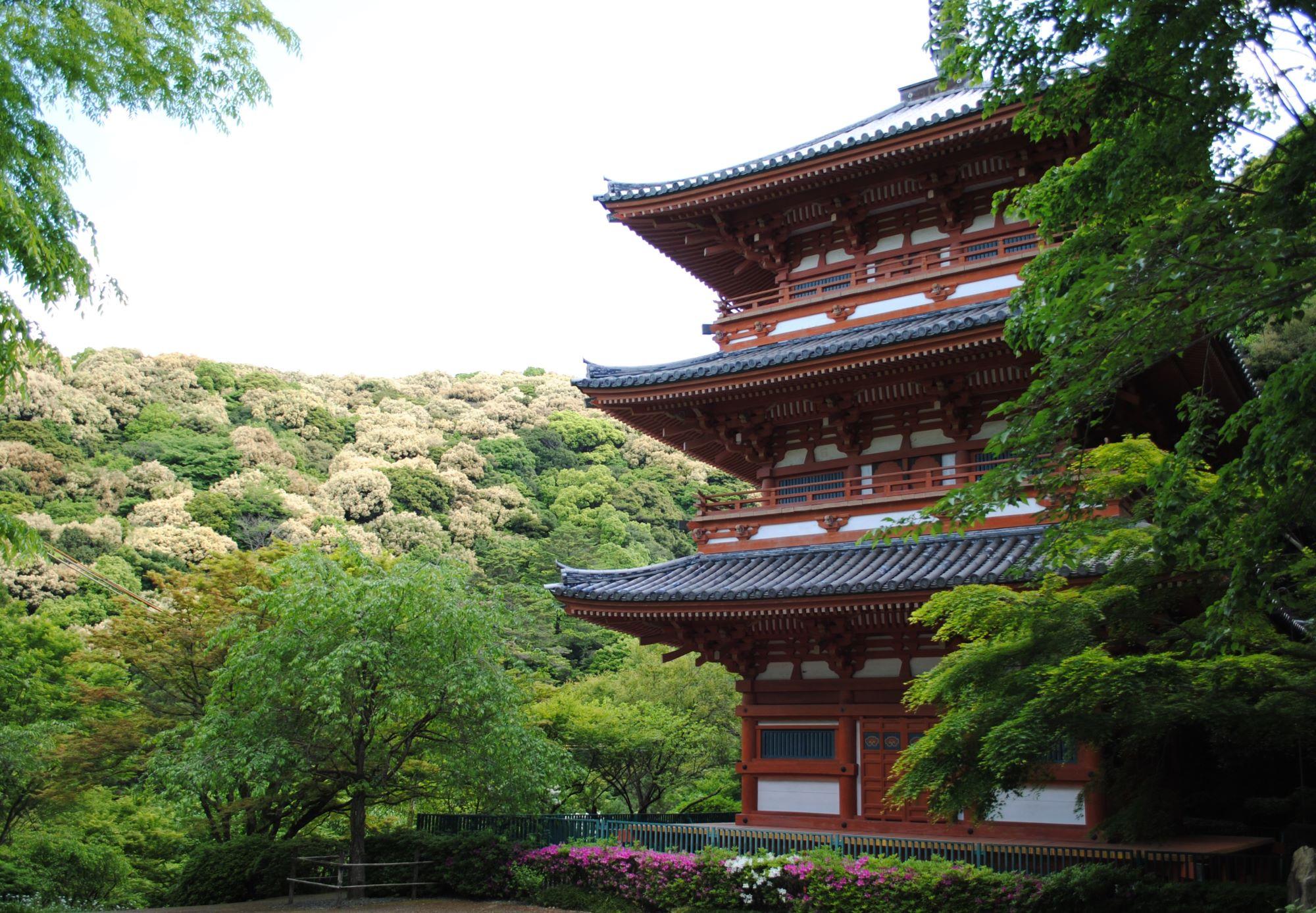 四季折々の表情が楽しめる清水山