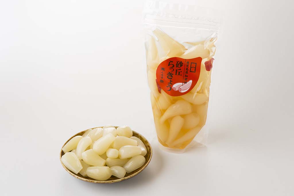 買うならコレ 加世田の砂丘らっきょう