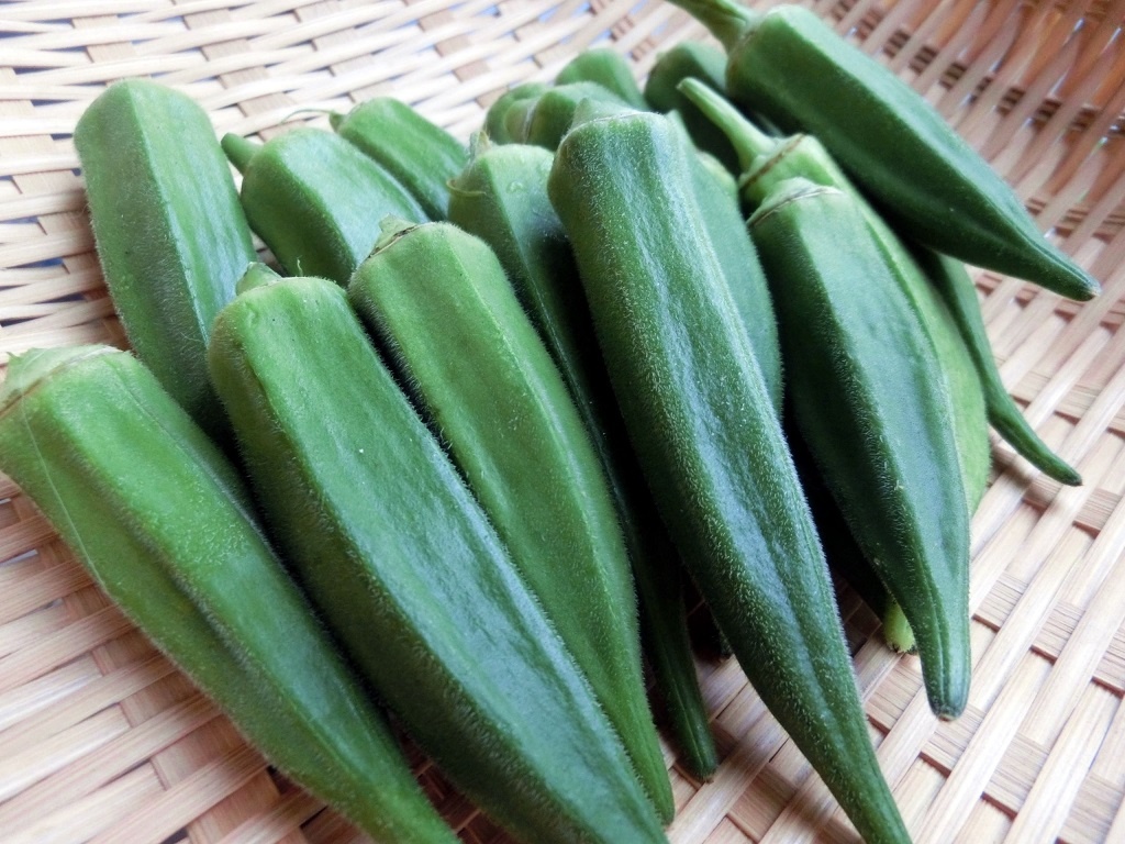 地元断トツ産物　オクラ