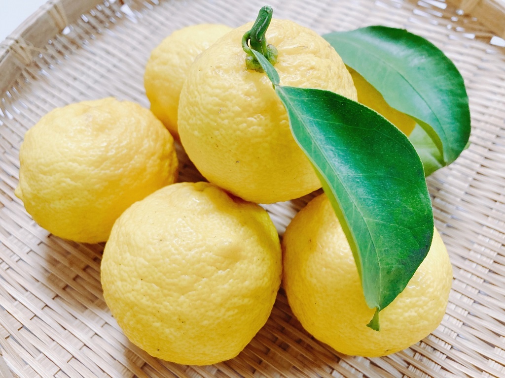 地元断トツ産物　ゆず