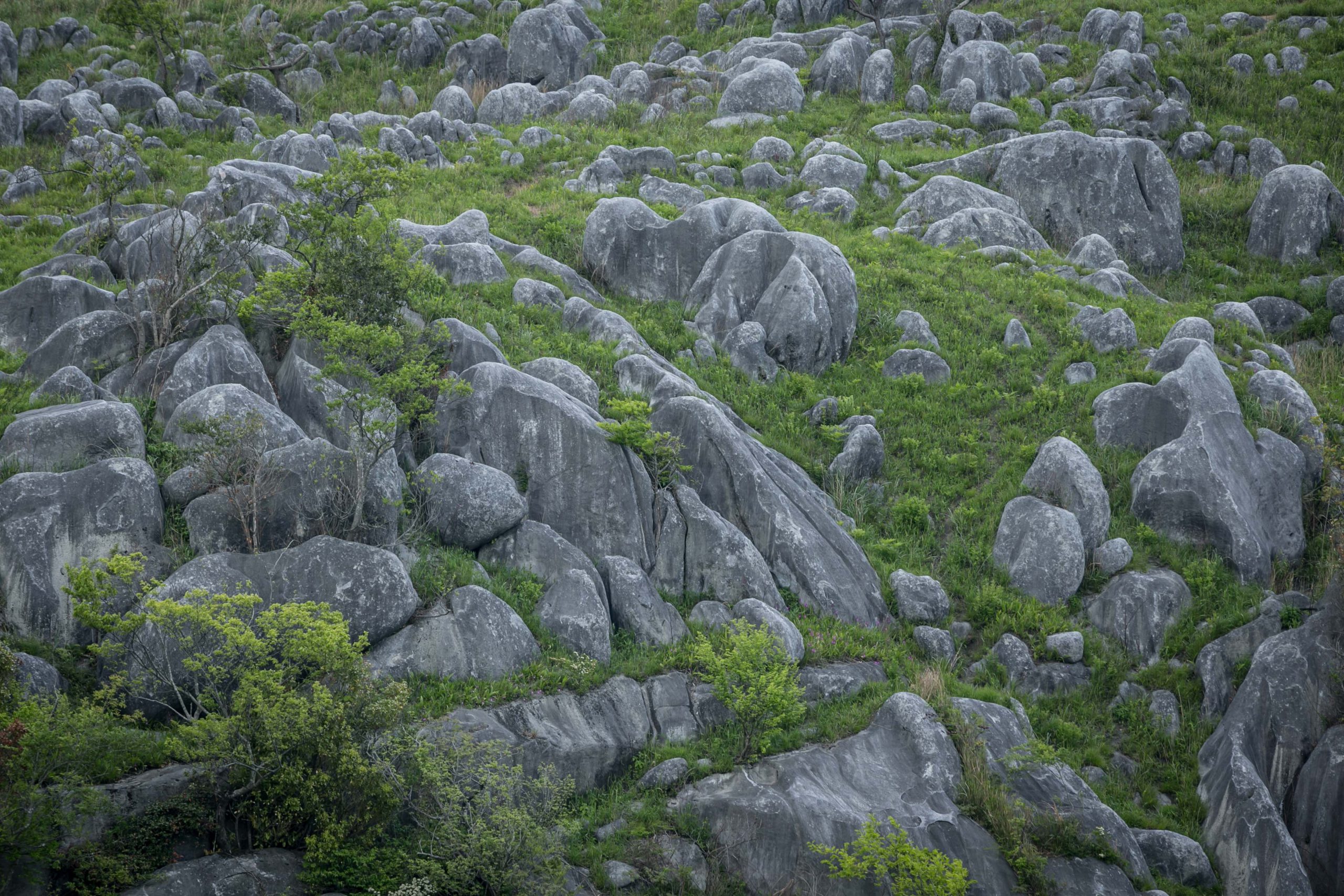 地球がつくり出した壮大な景色と 自然の営みを体感