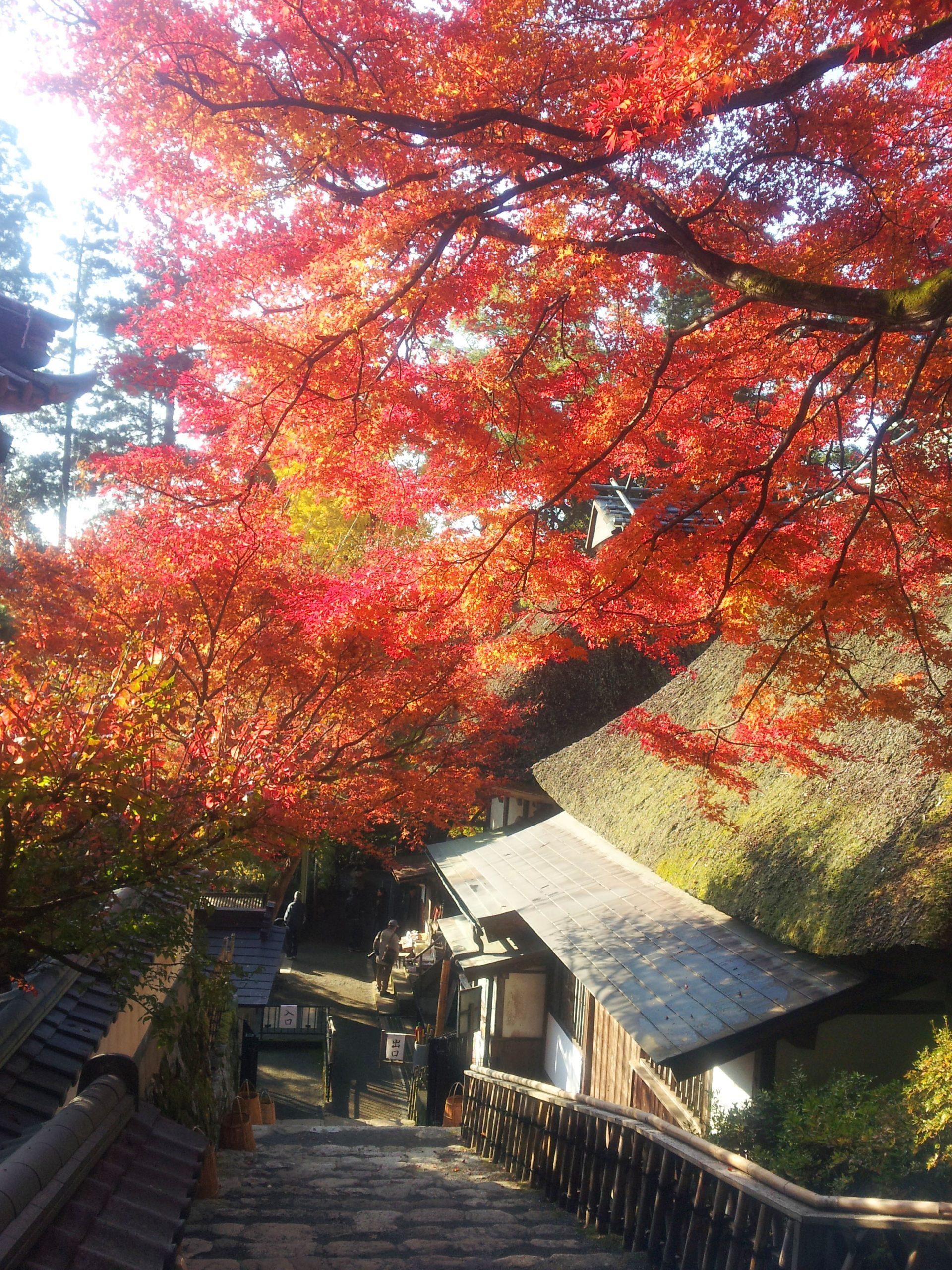 大興善寺