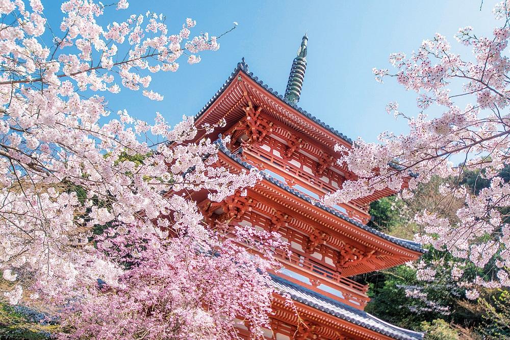 清水寺本坊庭園