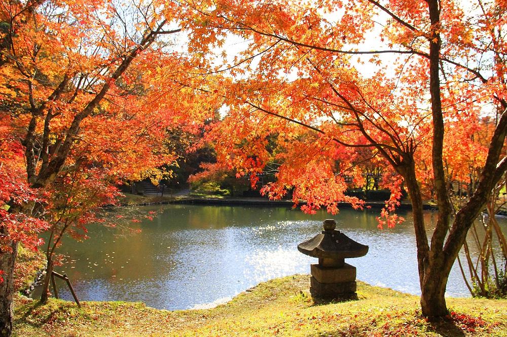 用作（ゆうじゃく）公園