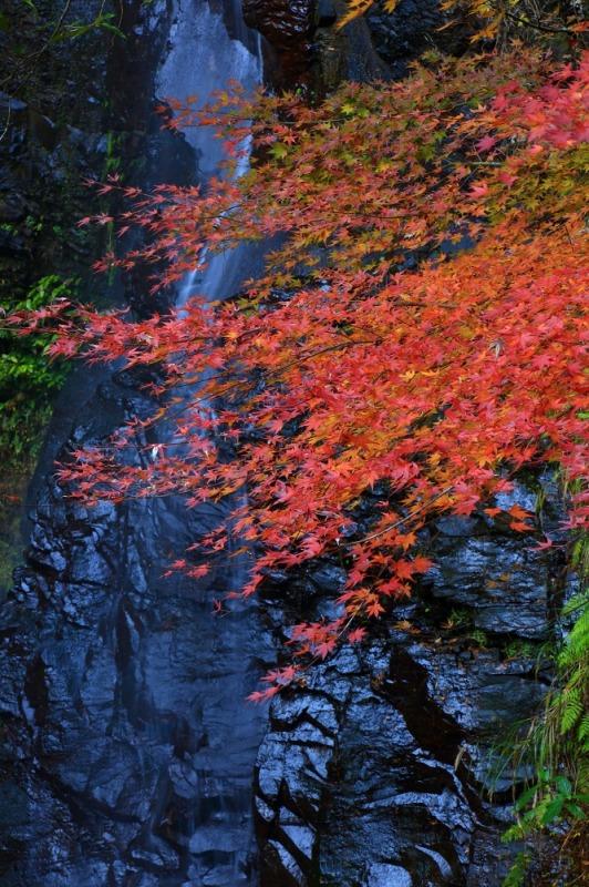 轟渓流