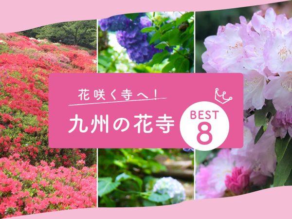 花咲く寺へ行こう！九州の花寺ベスト8